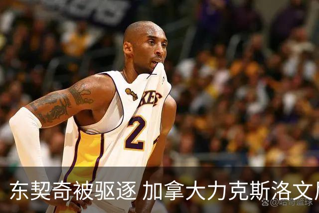 东契奇被驱逐 加拿大力克斯洛文尼亚晋级四强