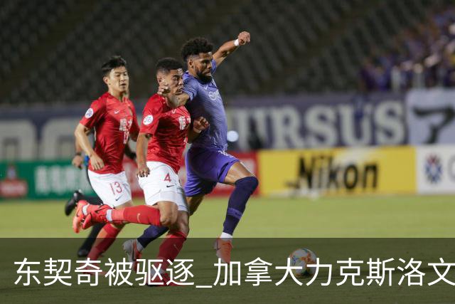 东契奇被驱逐 加拿大力克斯洛文尼亚晋级四强