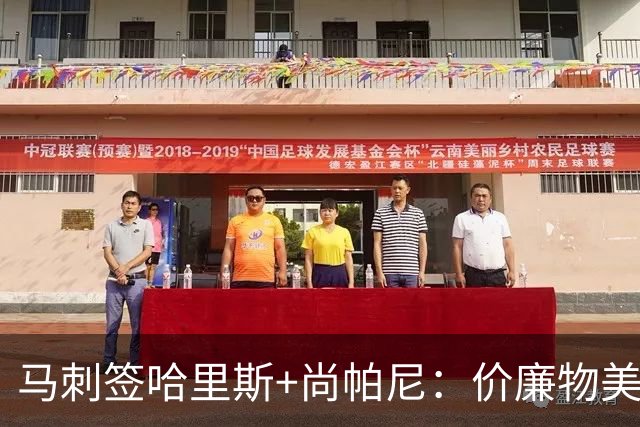 马刺签哈里斯+尚帕尼：价廉物美